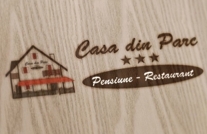 Logo Design Casa Din parc - Pensiune Covasna