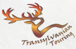 Grafica logo Transilvanian Touring